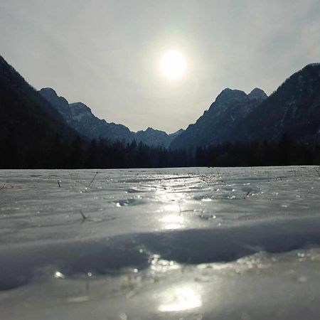 Turisticna Kmetija Psnak Lejlighed Mojstrana Eksteriør billede