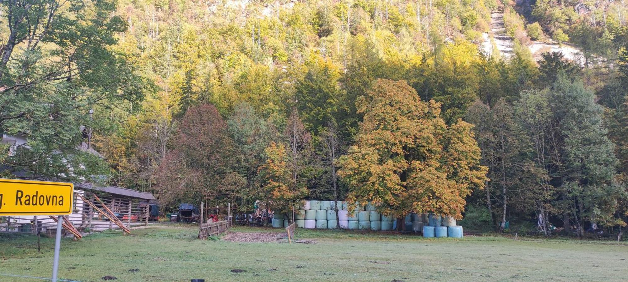 Turisticna Kmetija Psnak Lejlighed Mojstrana Eksteriør billede