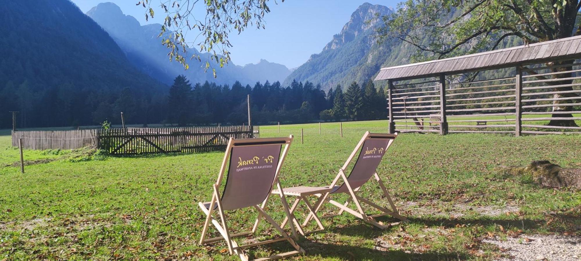 Turisticna Kmetija Psnak Lejlighed Mojstrana Eksteriør billede
