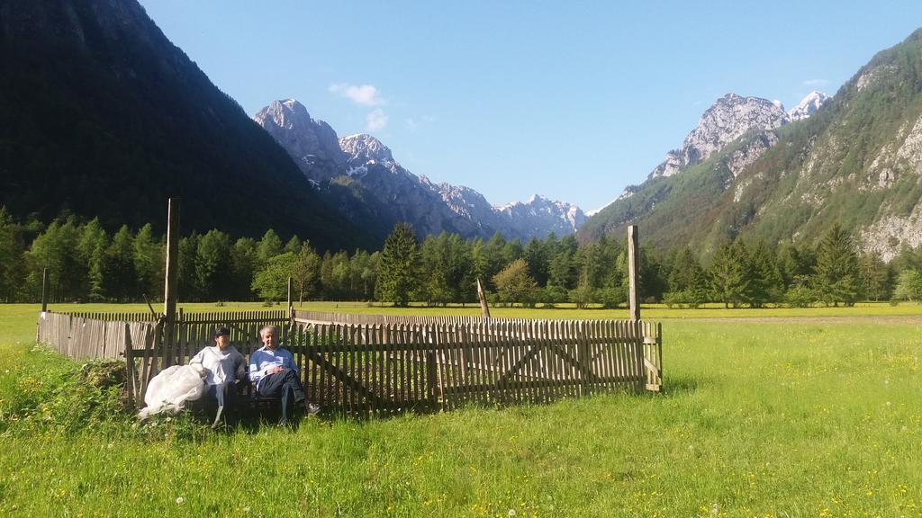 Turisticna Kmetija Psnak Lejlighed Mojstrana Eksteriør billede